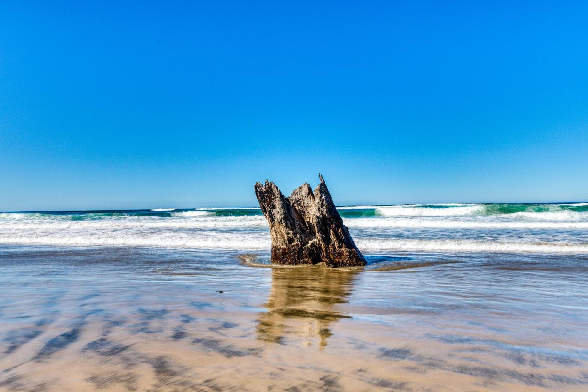 Cape Cod Cottages - #2 Waldport Ngoại thất bức ảnh